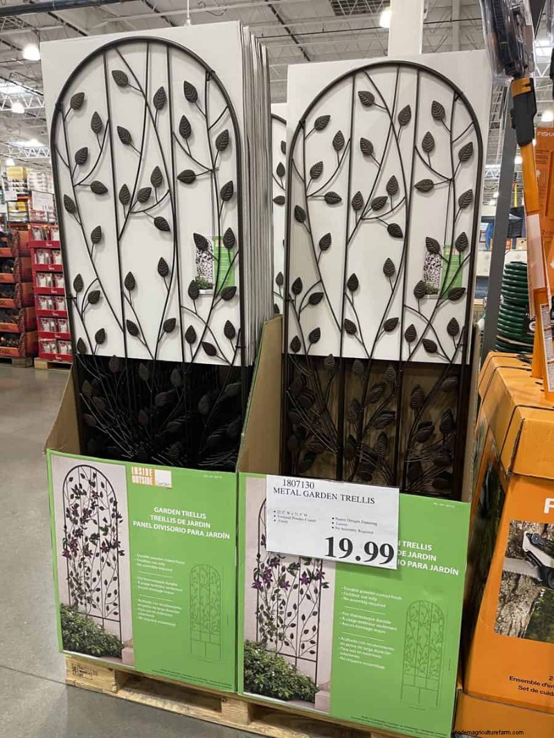 Trouvailles de jardin Costco 2026 :18 articles et prix incontournables 