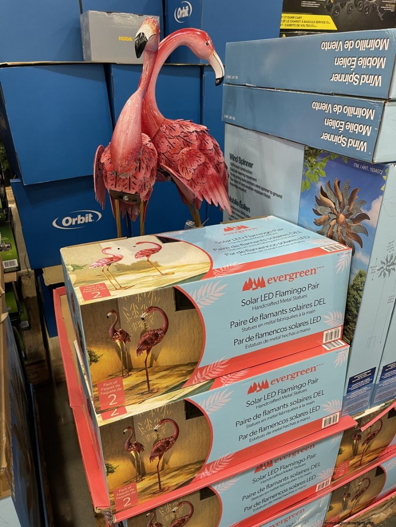 Trouvailles de jardin Costco 2026 :18 articles et prix incontournables 