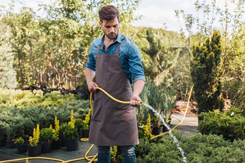 Pourquoi les jardins vacillent d’ici la mi-juillet – 13 solutions éprouvées 