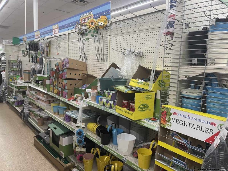 Nous avons trouvé 26 bonnes affaires de jardin chez Dollar Tree, certaines aussi bas que 1,50 $ 