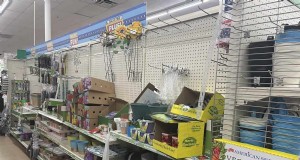 Encontramos 26 ofertas de jardinería en Dollar Tree, algunas tan bajas como $ 1,50 