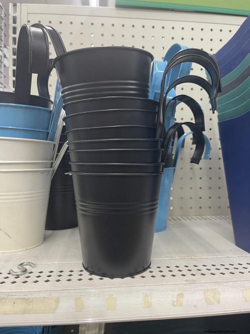 Nous avons trouvé 26 bonnes affaires de jardin chez Dollar Tree, certaines aussi bas que 1,50 $ 