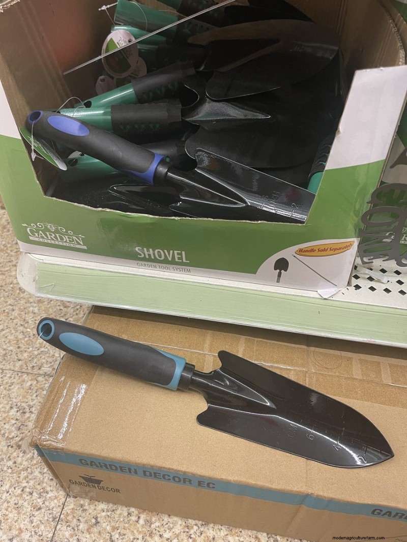 Nous avons trouvé 26 bonnes affaires de jardin chez Dollar Tree, certaines aussi bas que 1,50 $ 