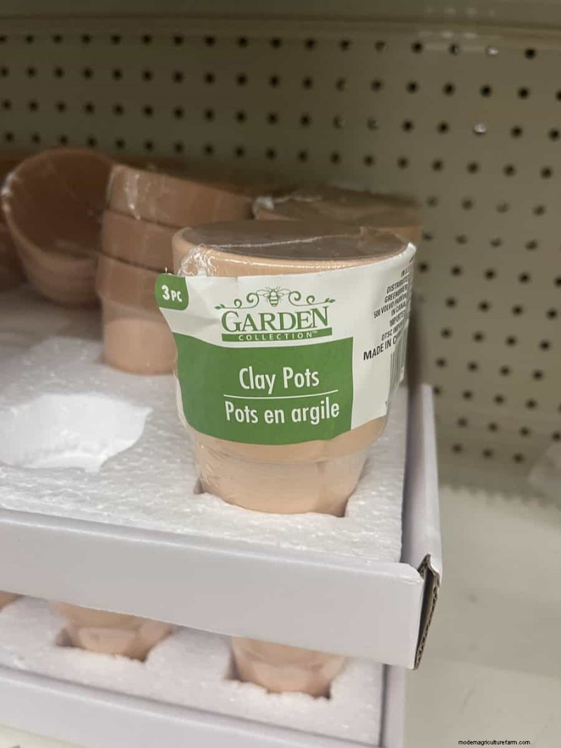 Nous avons trouvé 26 bonnes affaires de jardin chez Dollar Tree, certaines aussi bas que 1,50 $ 