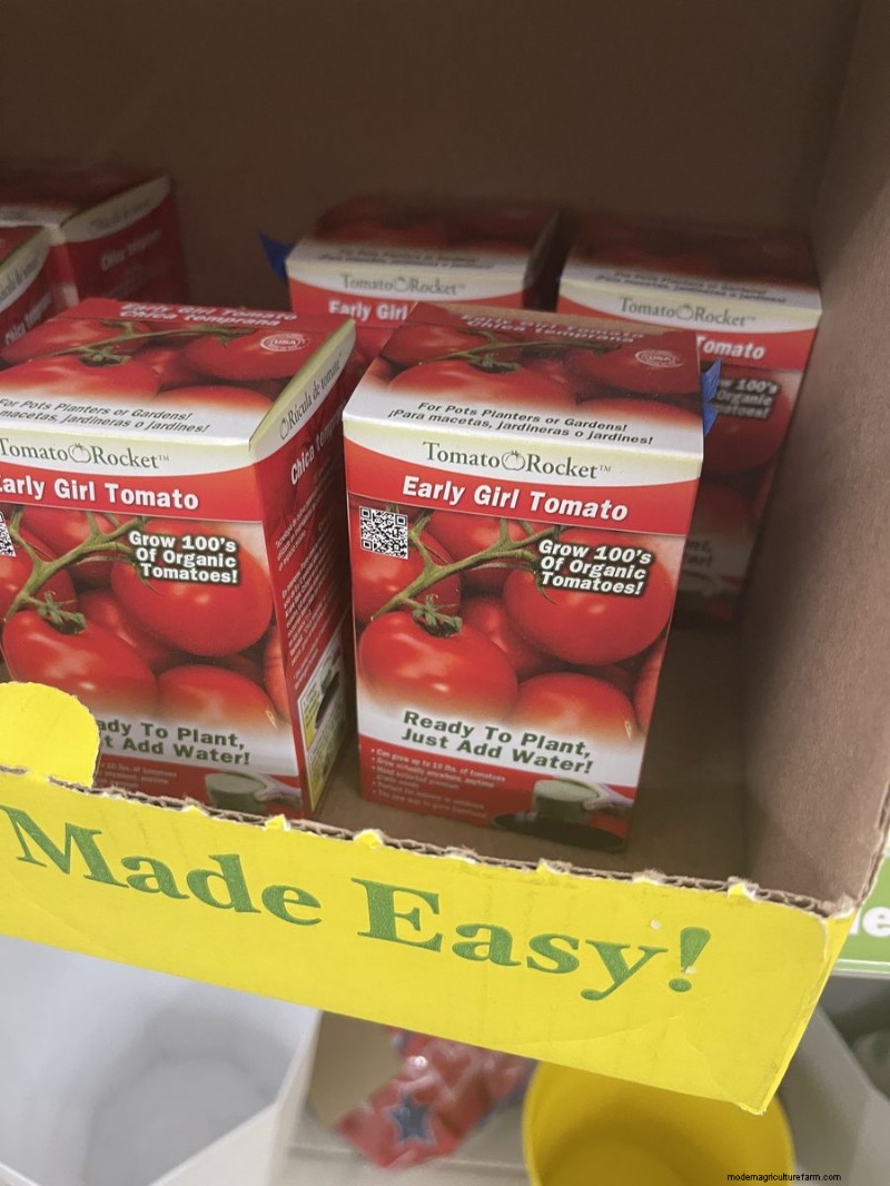 Nous avons trouvé 26 bonnes affaires de jardin chez Dollar Tree, certaines aussi bas que 1,50 $ 