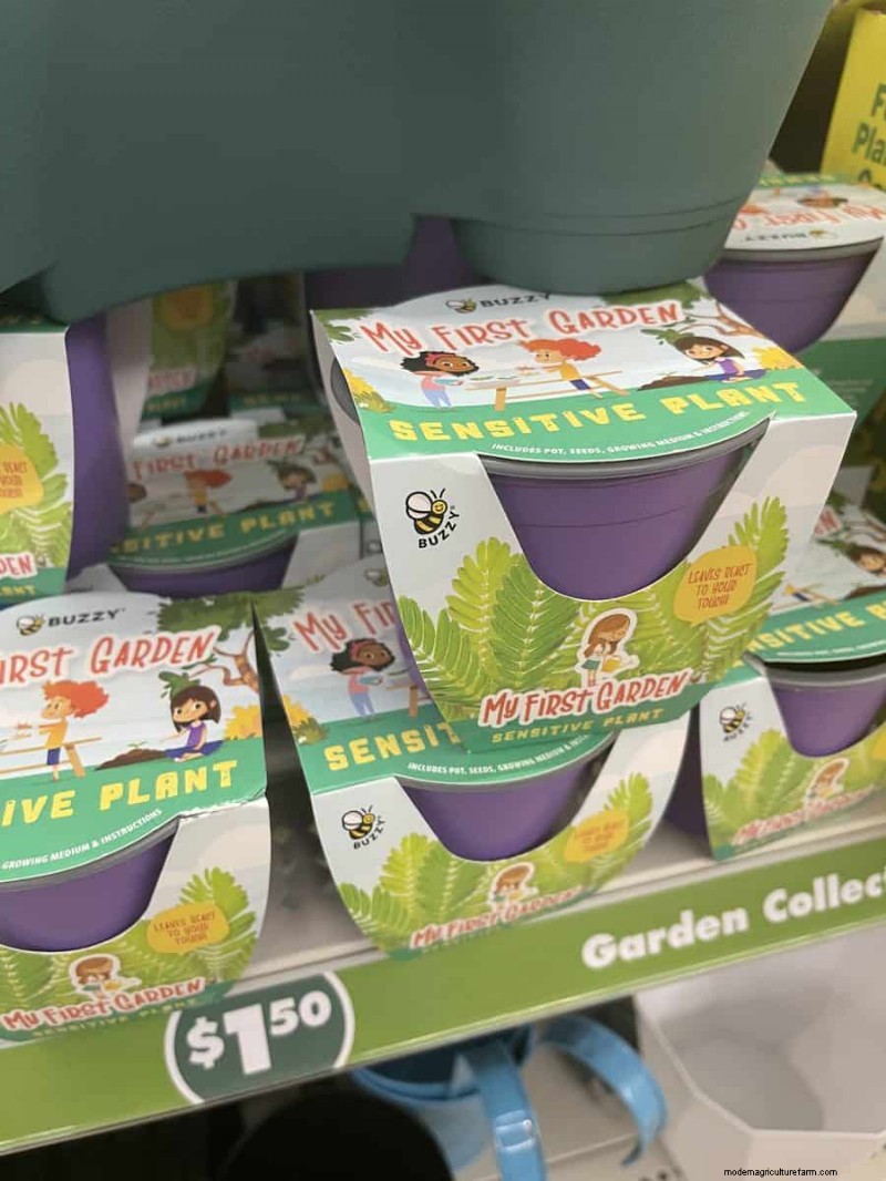 Nous avons trouvé 26 bonnes affaires de jardin chez Dollar Tree, certaines aussi bas que 1,50 $ 