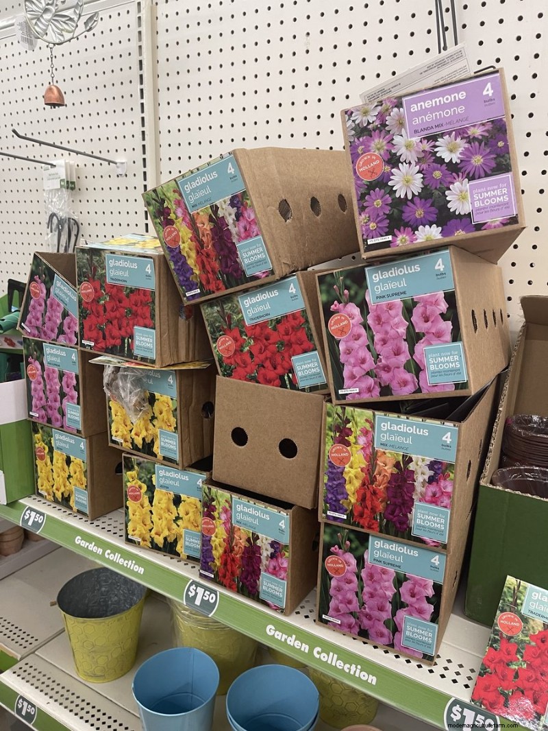Nous avons trouvé 26 bonnes affaires de jardin chez Dollar Tree, certaines aussi bas que 1,50 $ 
