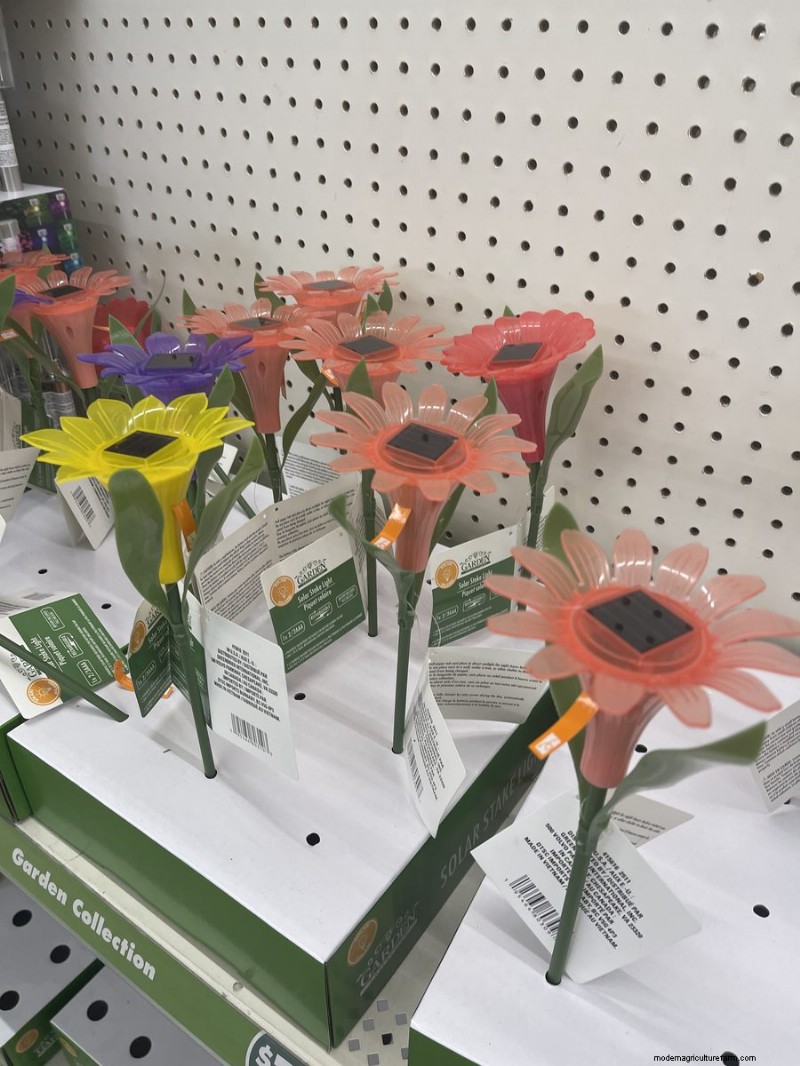 Nous avons trouvé 26 bonnes affaires de jardin chez Dollar Tree, certaines aussi bas que 1,50 $ 