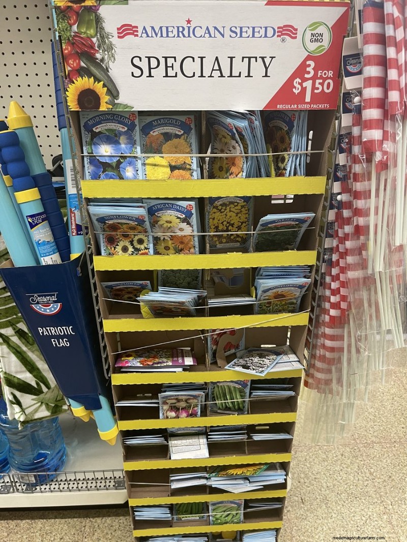 Nous avons trouvé 26 bonnes affaires de jardin chez Dollar Tree, certaines aussi bas que 1,50 $ 