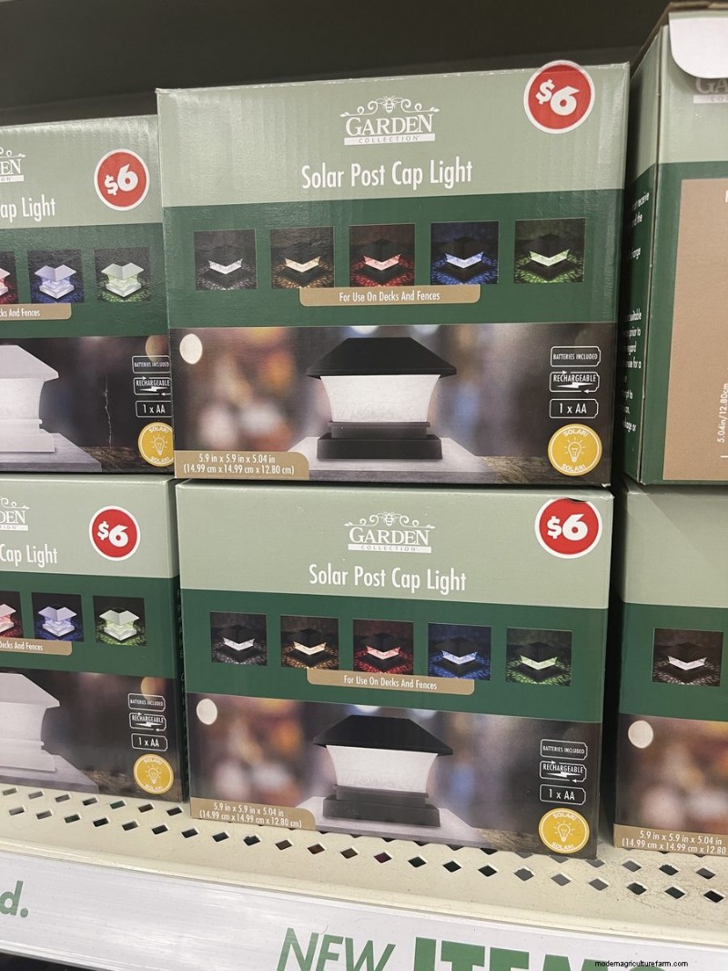 Nous avons trouvé 26 bonnes affaires de jardin chez Dollar Tree, certaines aussi bas que 1,50 $ 