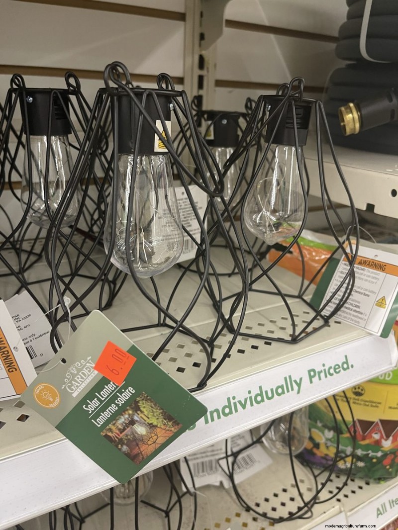 Nous avons trouvé 26 bonnes affaires de jardin chez Dollar Tree, certaines aussi bas que 1,50 $ 