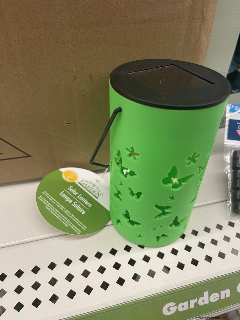 Nous avons trouvé 26 bonnes affaires de jardin chez Dollar Tree, certaines aussi bas que 1,50 $ 