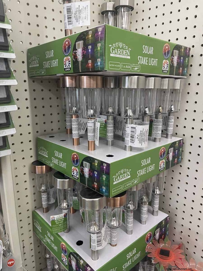 Nous avons trouvé 26 bonnes affaires de jardin chez Dollar Tree, certaines aussi bas que 1,50 $ 