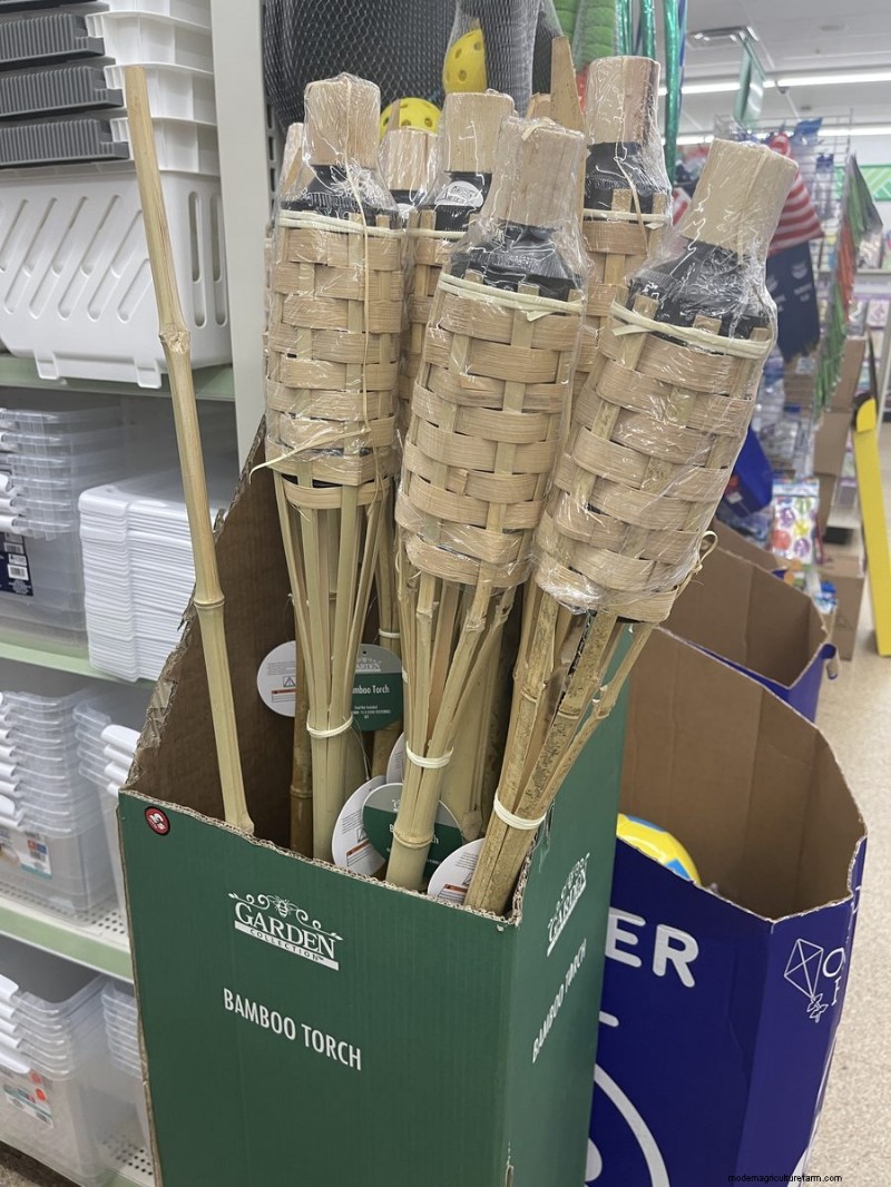 Nous avons trouvé 26 bonnes affaires de jardin chez Dollar Tree, certaines aussi bas que 1,50 $ 