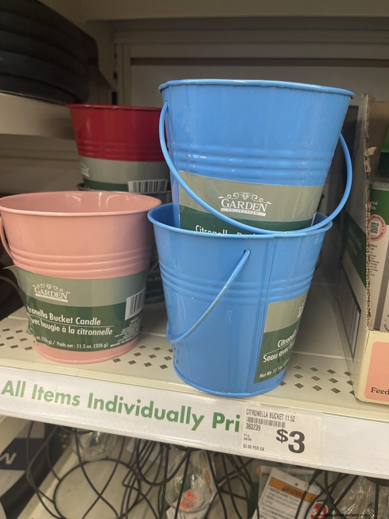 Nous avons trouvé 26 bonnes affaires de jardin chez Dollar Tree, certaines aussi bas que 1,50 $ 