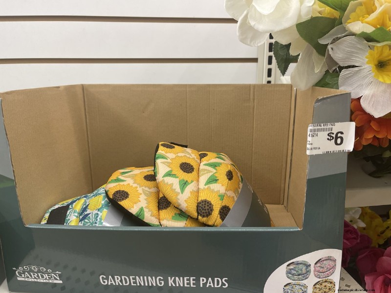 Nous avons trouvé 26 bonnes affaires de jardin chez Dollar Tree, certaines aussi bas que 1,50 $ 