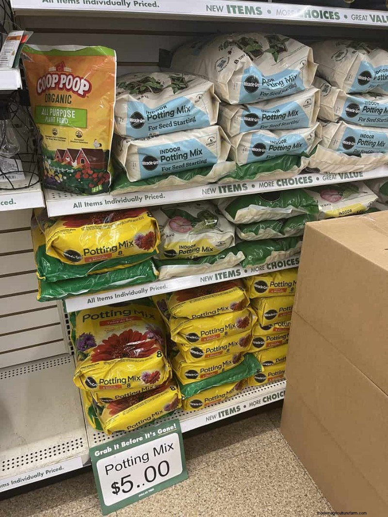 Nous avons trouvé 26 bonnes affaires de jardin chez Dollar Tree, certaines aussi bas que 1,50 $ 