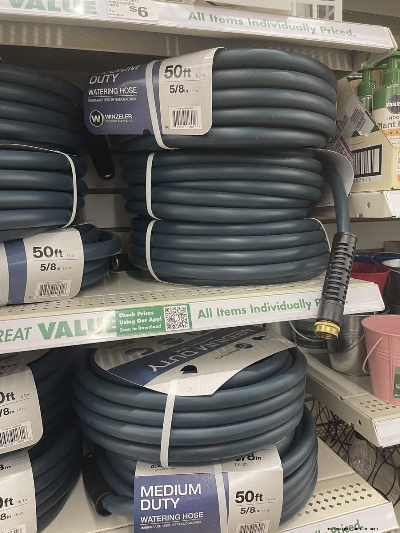 Nous avons trouvé 26 bonnes affaires de jardin chez Dollar Tree, certaines aussi bas que 1,50 $ 