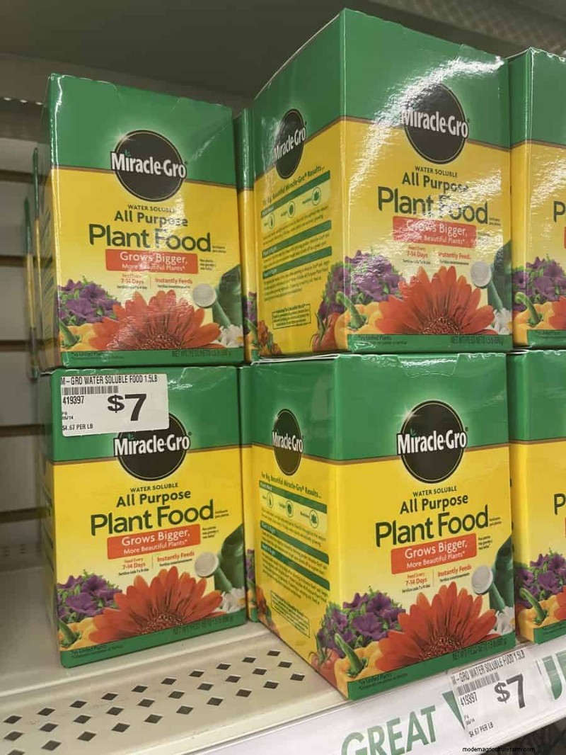 Nous avons trouvé 26 bonnes affaires de jardin chez Dollar Tree, certaines aussi bas que 1,50 $ 