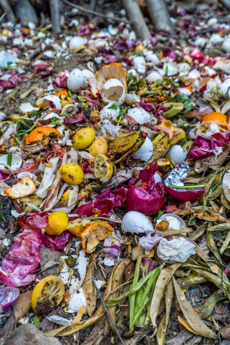 15 restes de cuisine qui servent également d engrais pour le jardin 