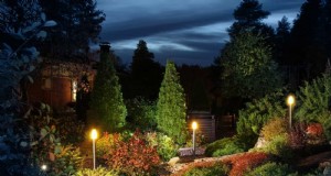 Beleuchten Sie Ihren Garten:Expertentipps zur Beseitigung dunkler Zonen in der Nacht 