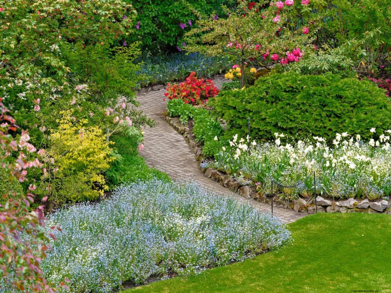 18 värmebeständiga ettåriga växter som fortsätter att blomma genom svällande somrar 