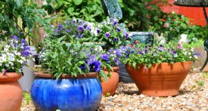 17 Container Garden Ideas to Transform Your Late‑Summer Patio into a Lively Oasis