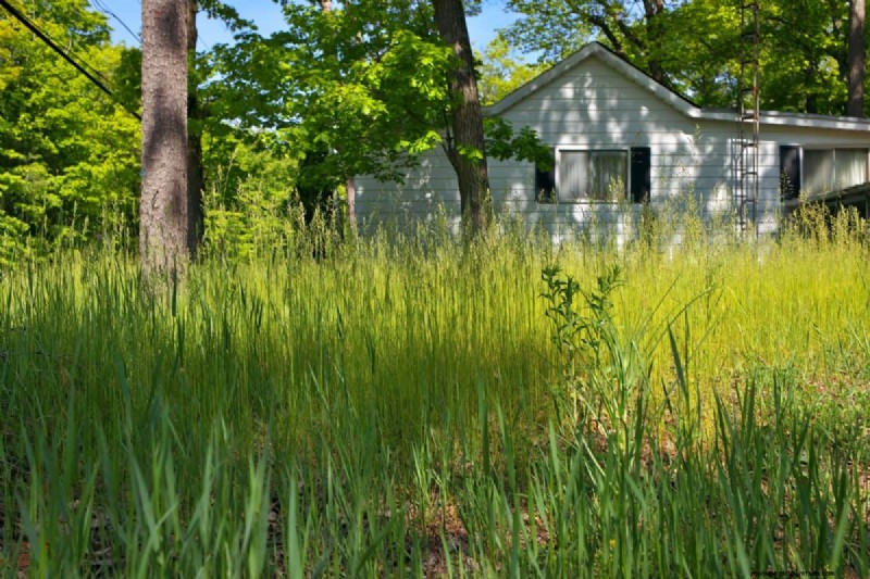 Un terrain envahi par la végétation entraînera-t-il des amendes ? Comprendre les ordonnances sur les mauvaises herbes et comment rester en conformité 