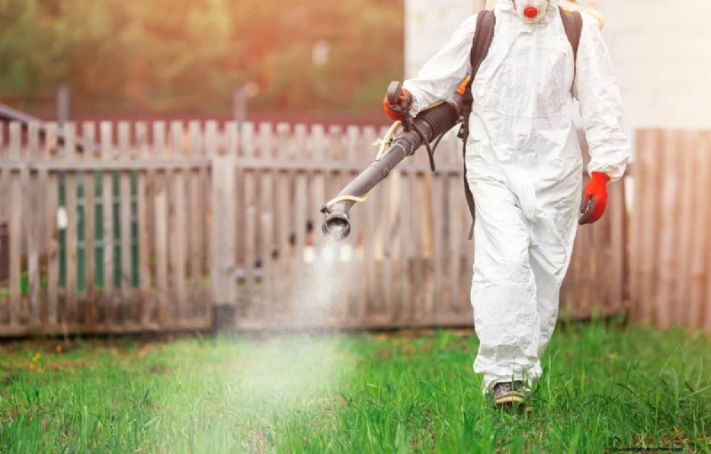 Un terrain envahi par la végétation entraînera-t-il des amendes ? Comprendre les ordonnances sur les mauvaises herbes et comment rester en conformité 