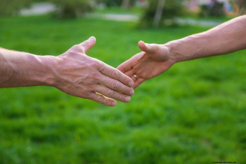 Un terrain envahi par la végétation entraînera-t-il des amendes ? Comprendre les ordonnances sur les mauvaises herbes et comment rester en conformité 