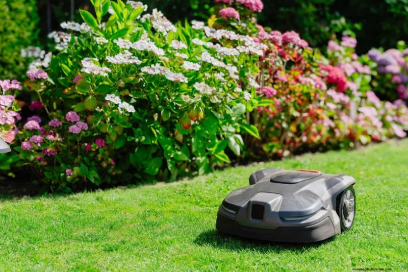 Un terrain envahi par la végétation entraînera-t-il des amendes ? Comprendre les ordonnances sur les mauvaises herbes et comment rester en conformité 