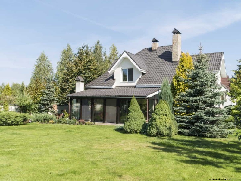 Gardez votre pelouse luxuriante et verte cet été :conseils d entretien d experts 