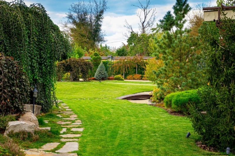 Gardez votre pelouse luxuriante et verte cet été :conseils d entretien d experts 