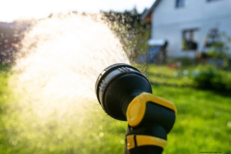 Gardez votre pelouse luxuriante et verte cet été :conseils d entretien d experts 
