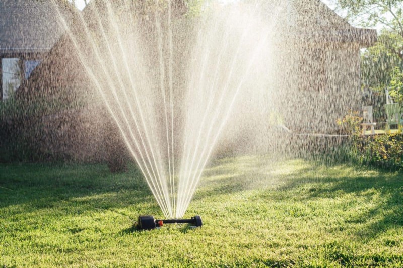 Gardez votre pelouse luxuriante et verte cet été :conseils d entretien d experts 