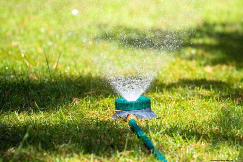 Gardez votre pelouse luxuriante et verte cet été :conseils d entretien d experts 