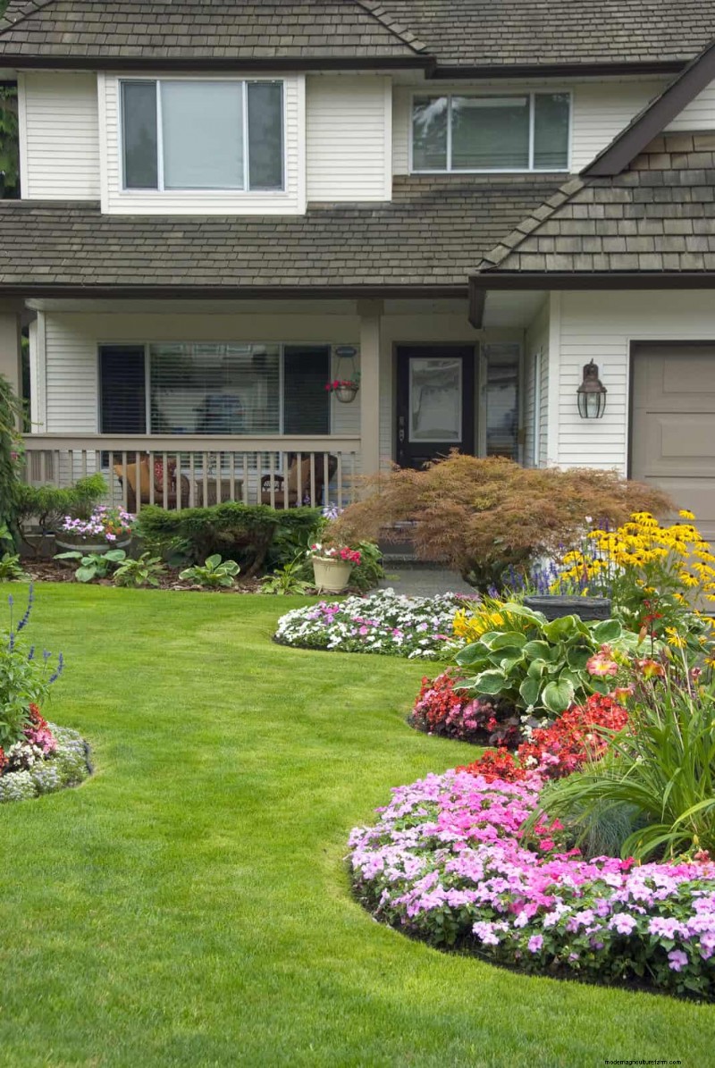 Gardez votre pelouse luxuriante et verte cet été :conseils d entretien d experts 