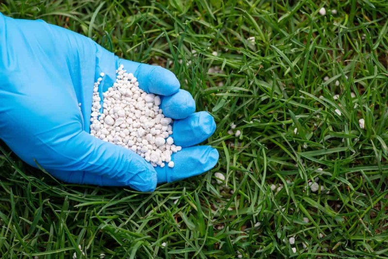 Gardez votre pelouse luxuriante et verte cet été :conseils d entretien d experts 