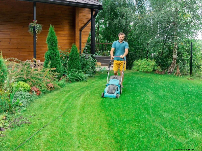 Gardez votre pelouse luxuriante et verte cet été :conseils d entretien d experts 