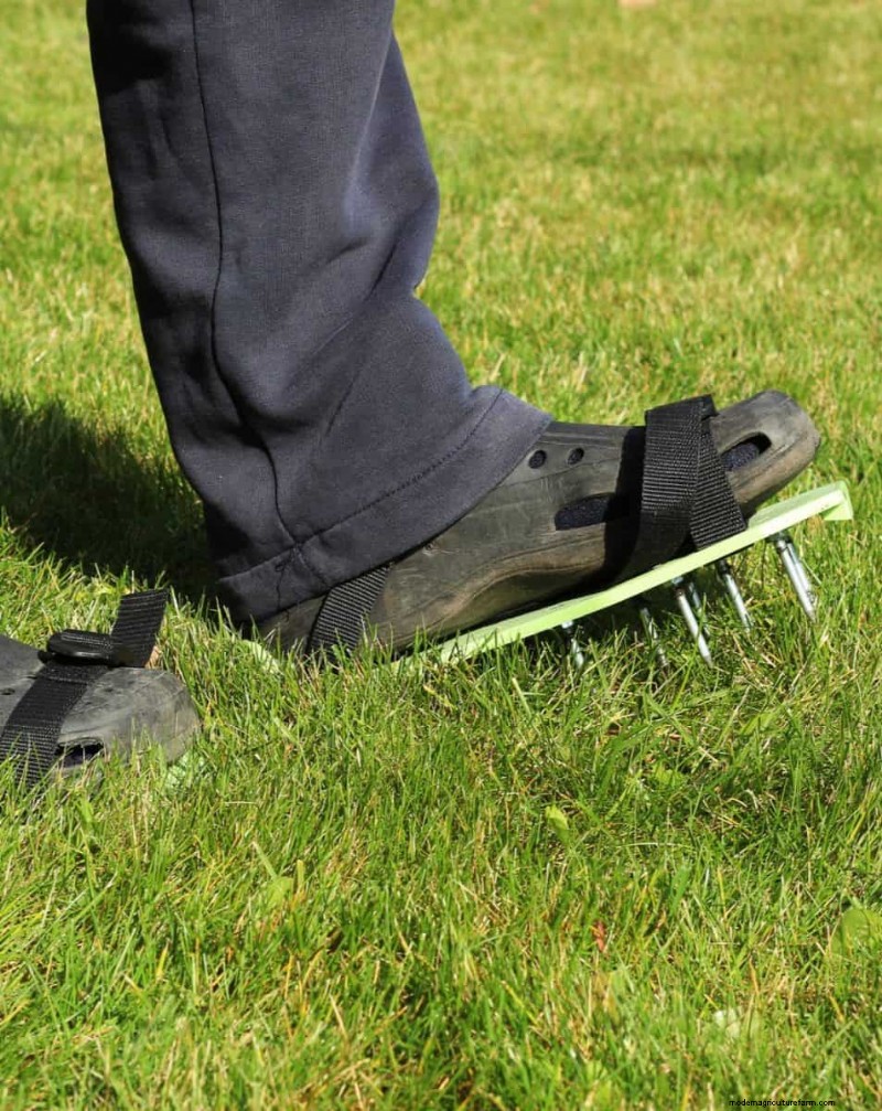 Gardez votre pelouse luxuriante et verte cet été :conseils d entretien d experts 