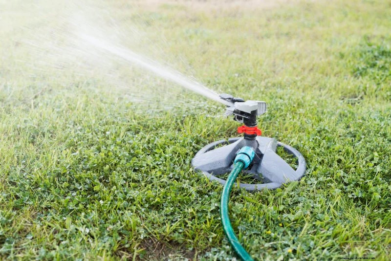 Gardez votre pelouse luxuriante et verte cet été :conseils d entretien d experts 