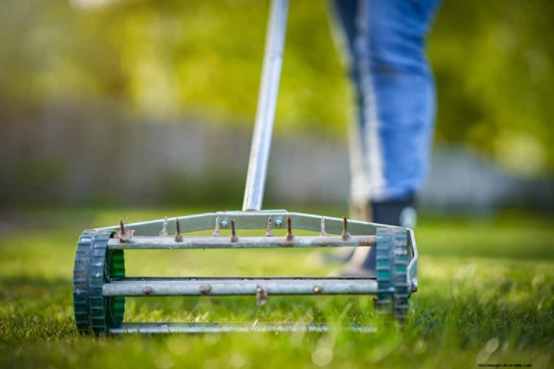 Gardez votre pelouse luxuriante et verte cet été :conseils d entretien d experts 
