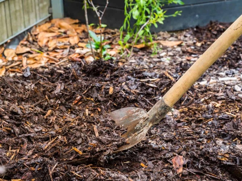 Paillis :17 avantages essentiels pour votre jardin d été 