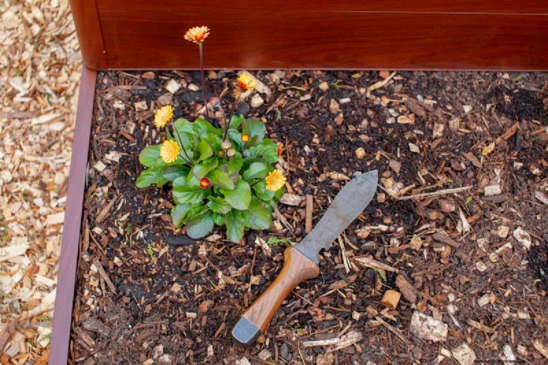 Paillis :17 avantages essentiels pour votre jardin d été 