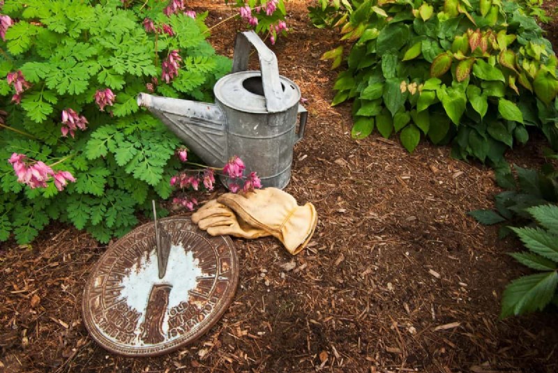 Paillis :17 avantages essentiels pour votre jardin d été 