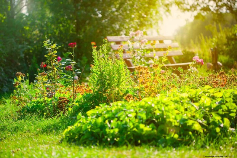 Gardez votre jardin en plein essor pendant vos vacances :stratégies d entretien expertes