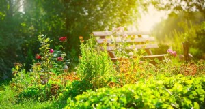 Mantenga su jardín próspero mientras está de vacaciones:estrategias de cuidado de expertos 