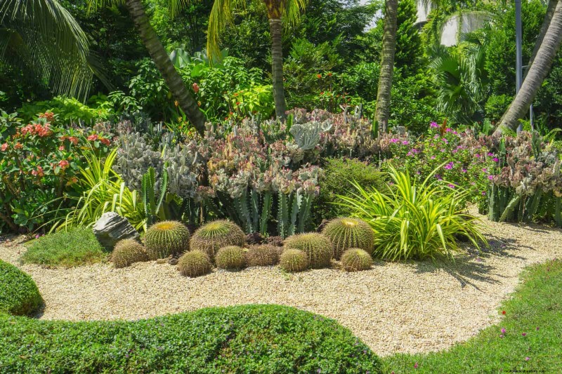 Gardez votre jardin en plein essor pendant vos vacances :stratégies d entretien expertes
