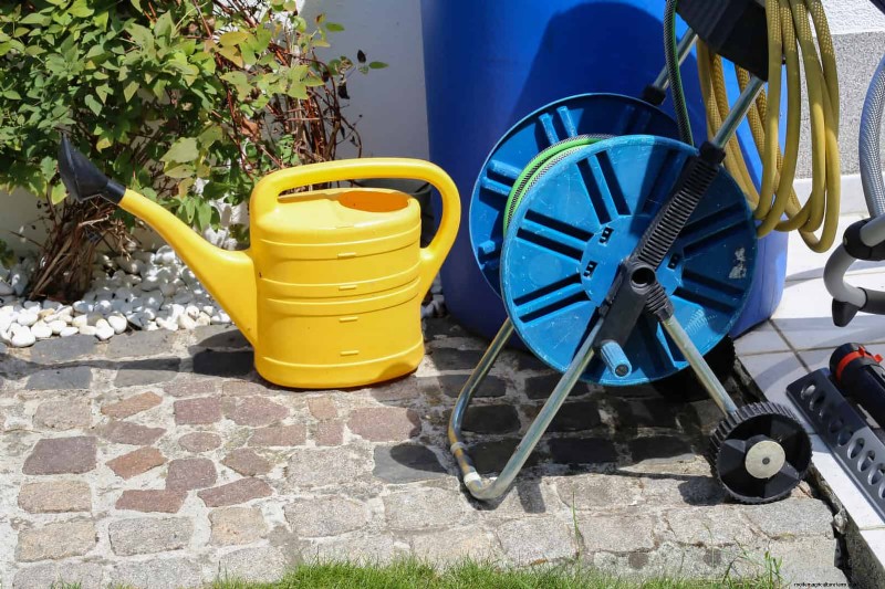 Gardez votre jardin en plein essor pendant vos vacances :stratégies d entretien expertes