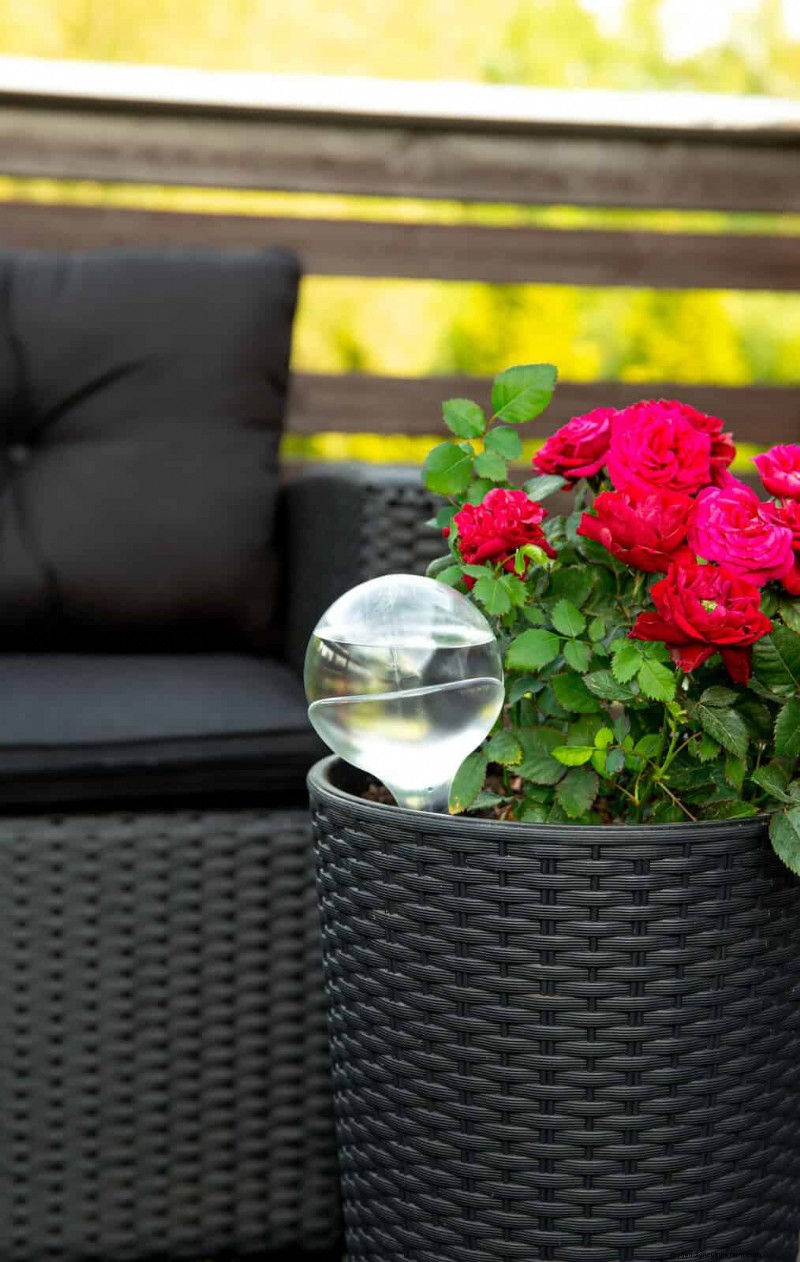 Gardez votre jardin en plein essor pendant vos vacances :stratégies d entretien expertes